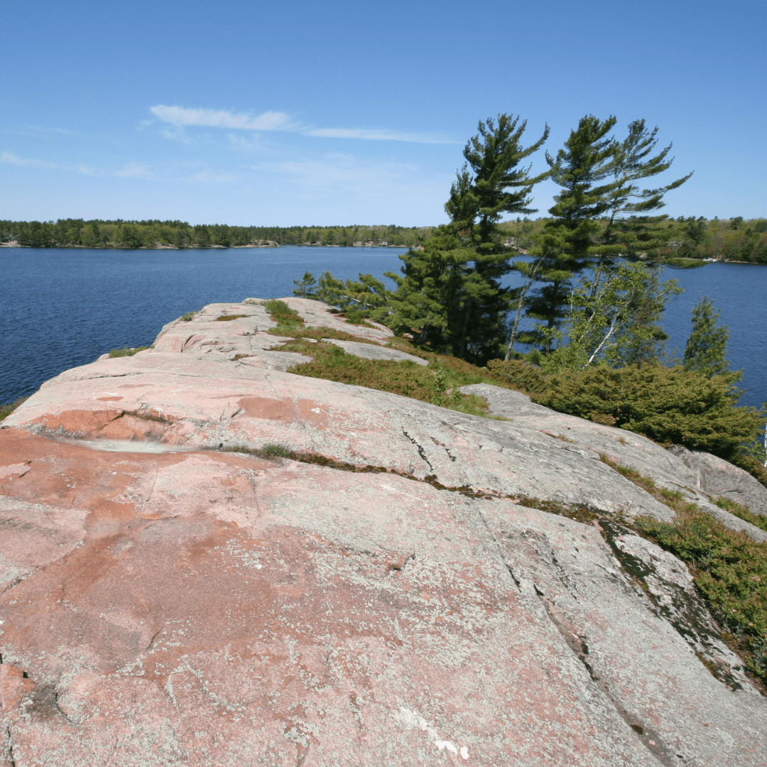 Prince George, British Columbia | Opportunity | Nutters